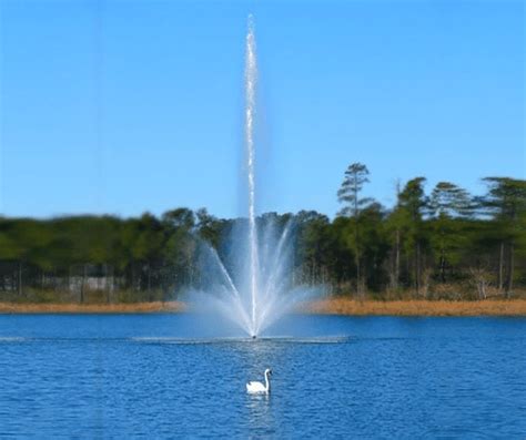  「 quête de la Fontaine Céleste 」：一個關於尋求永生的奇幻旅程！